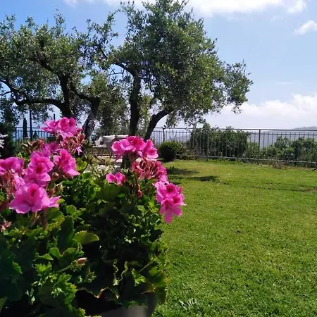 Casa Vista Mare - Superb Garden And Parking Included Holiday home